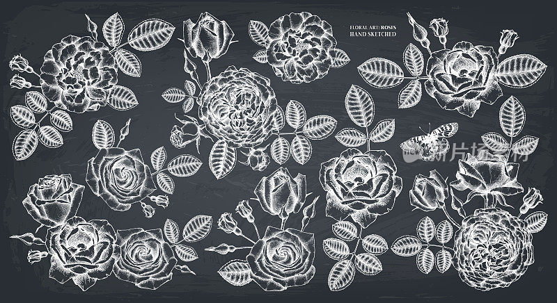 Hand drawn roses bouquets on chalkboard